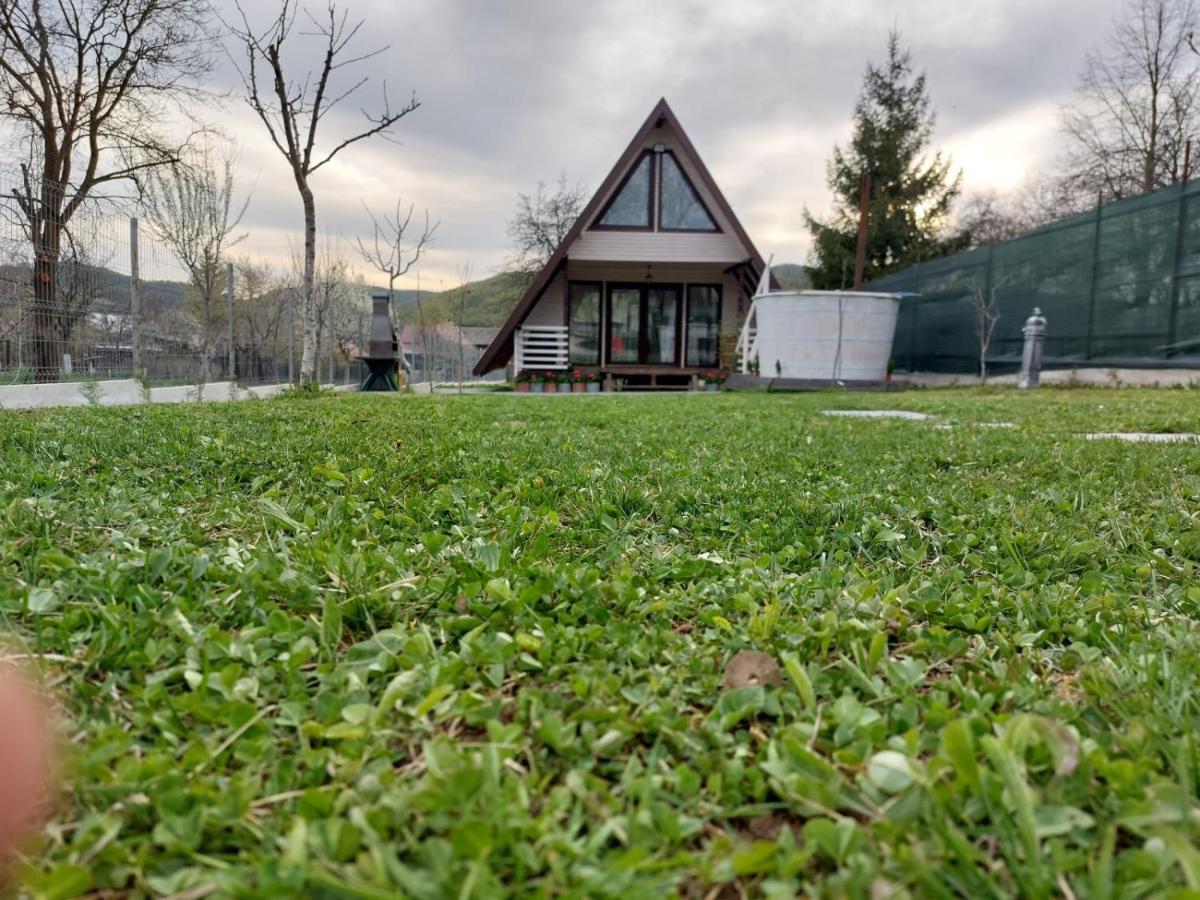 Cabana La Bica Magureni Bagian luar foto