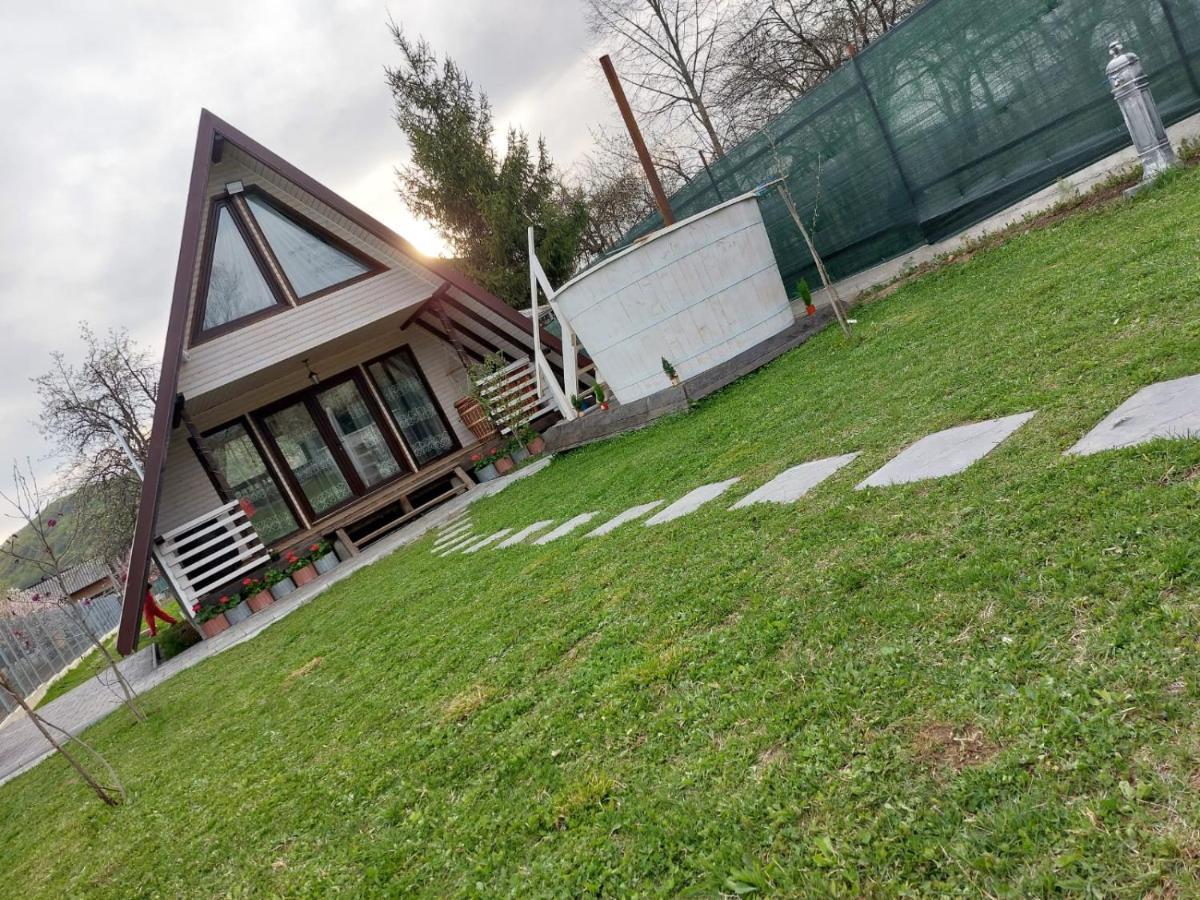Cabana La Bica Magureni Bagian luar foto