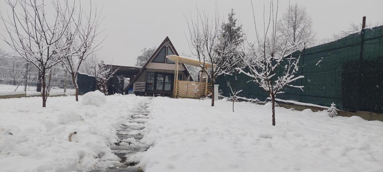 Cabana La Bica Magureni Bagian luar foto
